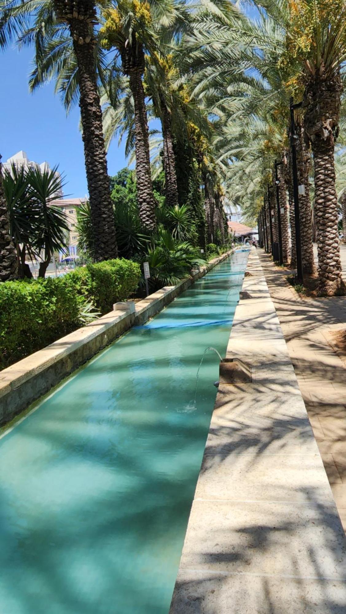 יחידת דיור Lägenhet Rishon LeZion Rum bild